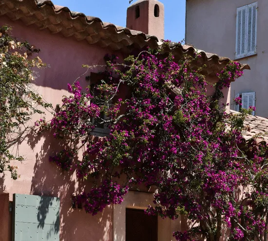 choix des tuiles maison en provence
